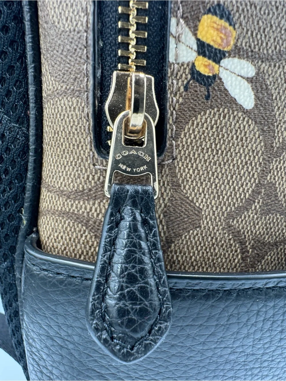 COACH Court Signature Canvas Backpack with Bee Print 🐝